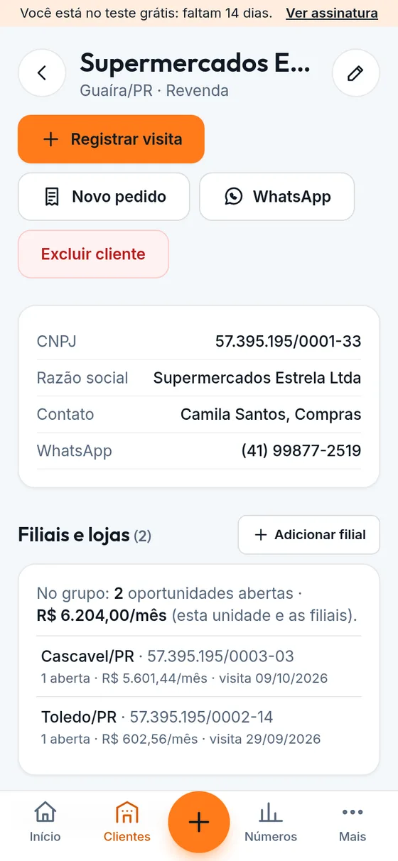 Cliente com filiais e lojas reunidas e as oportunidades de cada uma (dados de exemplo)